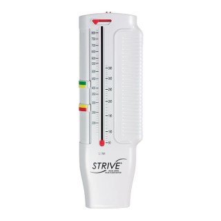 Truzone Peak Flow Meter Chart