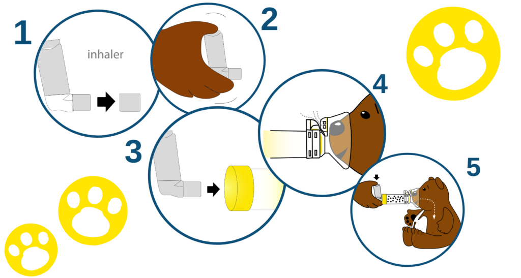 AEROCHAMBER PLUS® FLOW-VU Use