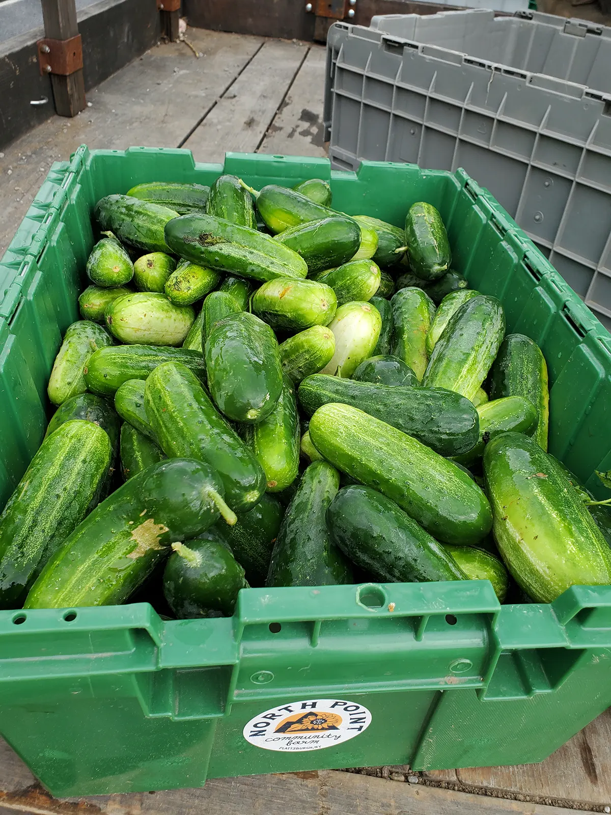 Monaghan Medical CSA Program