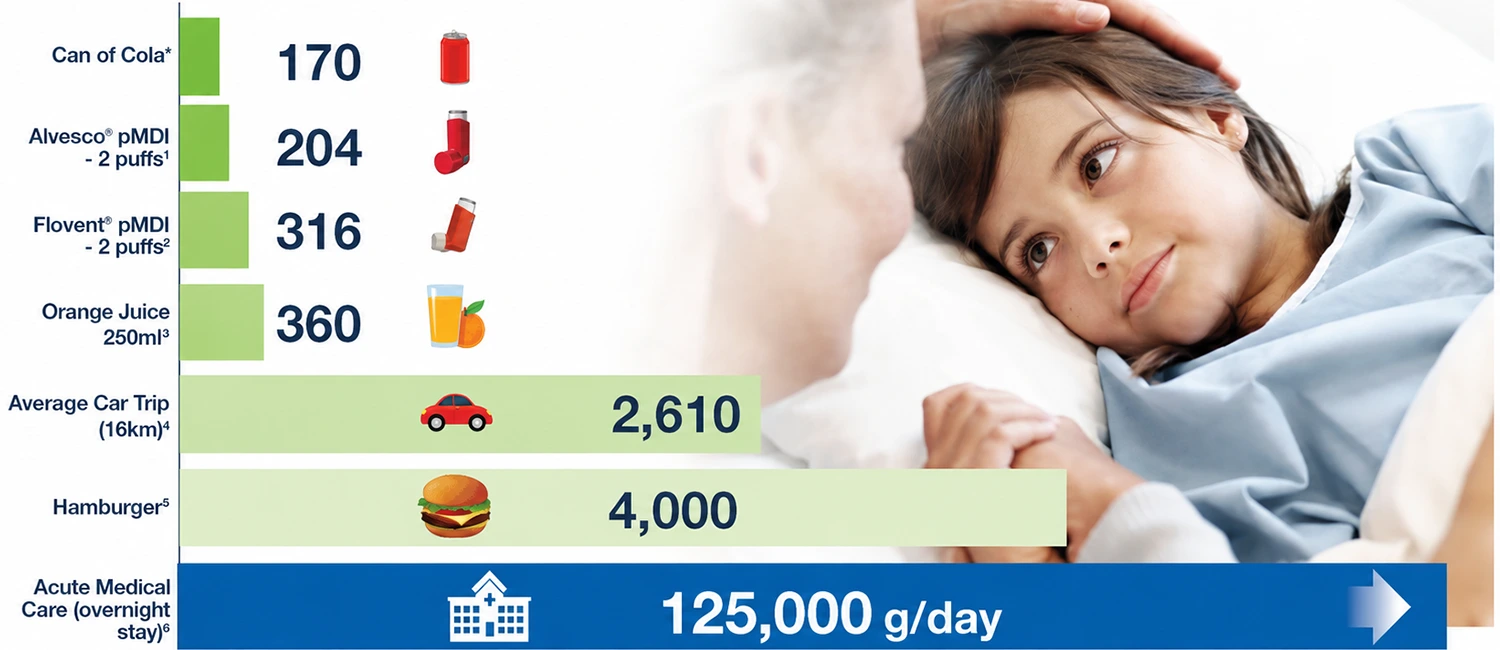 Daily carbon footprint
